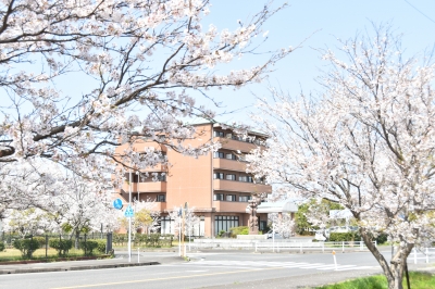 代表写真